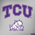 Texas Christian University Horned Frogs Logo Print MacBook Skins